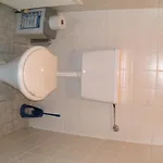 农家乐 Bauernhof Manuela Perner *